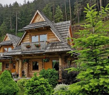 Demanovska Dolina Ski Chalet | Guest Rated: Chalets Adriana with Restaurant & Breakfast