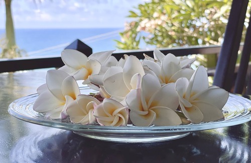 Anse Royale Apartment | Ocean View Chalets Bougainville with Infinity Pool & WiFi