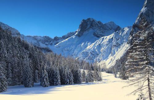 Eben am Achensee Ski Chalet | Discover Chalets Grossmitt: Family-Friendly Retreat with Pool