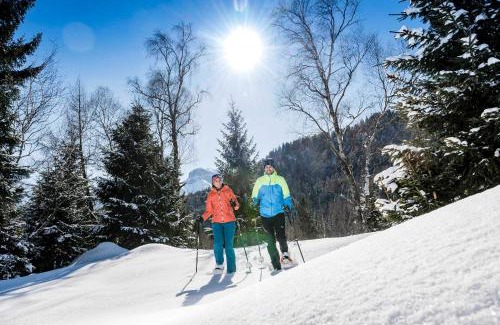 Eben am Achensee Ski Chalet | Discover Chalets Grossmitt: Family-Friendly Retreat with Pool