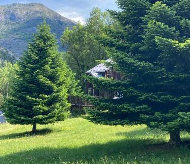 Auzat Ski Chalet | Pet-Friendly Chalets les tutes de la Vernière for Families