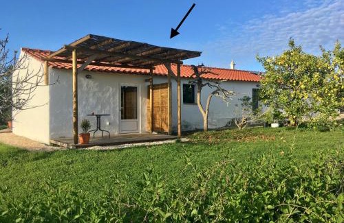 Azia Apartment | Cozy Studio with Ocean Views Near Countryside Adventures
