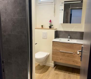 Albertville Apartment | Chaleureux T4, petit déjeuner offert, boisson rafraîchissante pour la bienvenue