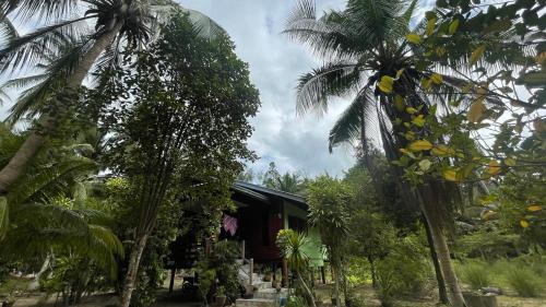Nong Chaeng Ski Chalet | Chaloklum Cosy Cabin