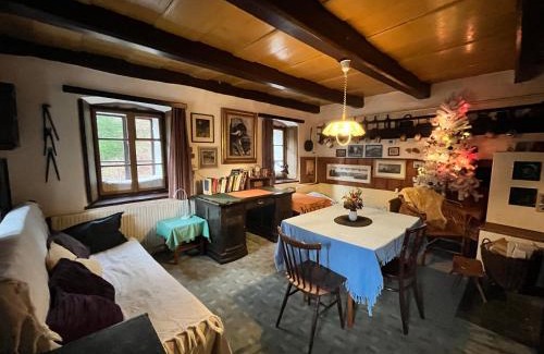 Cervena Voda House | Discover Chalupa Šanov u Králík: Pet-Friendly Retreat