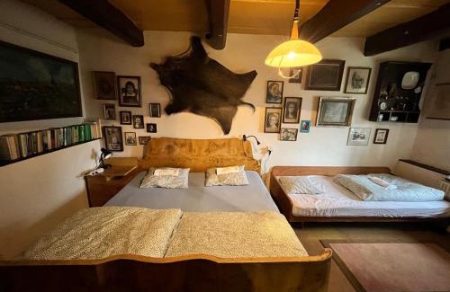 Cervena Voda House | Discover Chalupa Šanov u Králík: Pet-Friendly Retreat