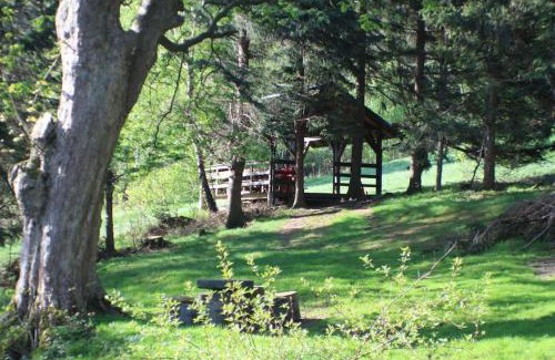 Moravka Villa | Experience Chalupa Morávka 1: Pet-Friendly Retreat in Beskydech