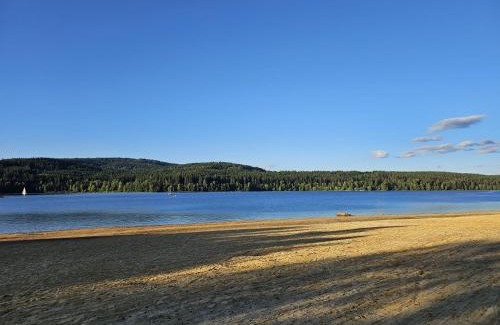 Predni Vyton House | Pet-Friendly Chalupa Pasečná with Oceanfront Views