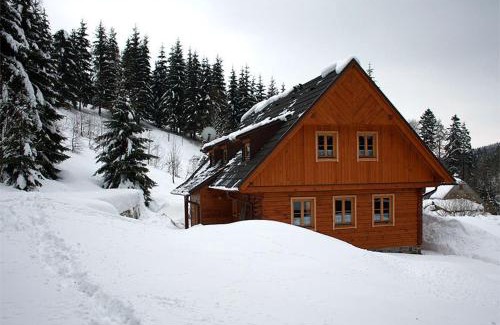 Dolni Morava Ski Chalet | Experience Comfort at Chalupa Pod Lomem - Pet Friendly Retreat