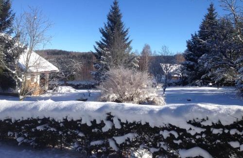 Rejstejn House | Discover Chalupa Svojše - Family & Pet-Friendly Retreat