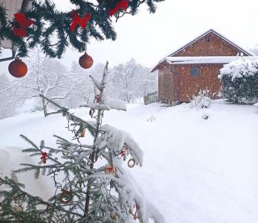 Roztoky u Semil House | Discover Chalupa u Kuby: Family-Friendly with Pool Access