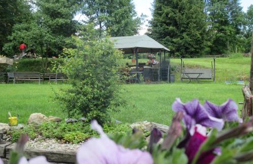 Dolni Moravice Hotel | Pet-Friendly Chalupa u Matúšů in Scenic Jeseníky