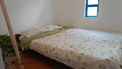 Dong Hoa House | Ecohost Đông Hòa: Family & Pet-Friendly Retreat