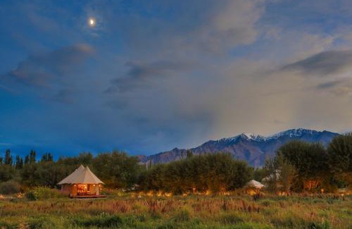 She Hotel | Discover Tranquility at Chamba Camp Thiksey by TUTC