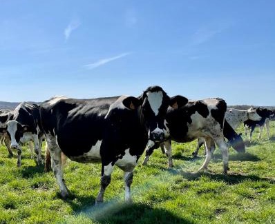 Precy-le-Sec Bed & Breakfast | Relaxing Retreat at Chambre à la Ferme - Family Friendly Stay