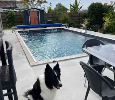 Yves Bed & Breakfast | Inviting Room with Pool and Marais View for Your Escape