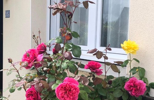 Sene House | Family-Friendly Stay at Les Roses de Séné - Guest Rated 9/10