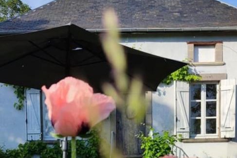 Chateldon Bed & Breakfast | Charming Equestrian Retreat at Chambre d'hôte Au petit bonheur