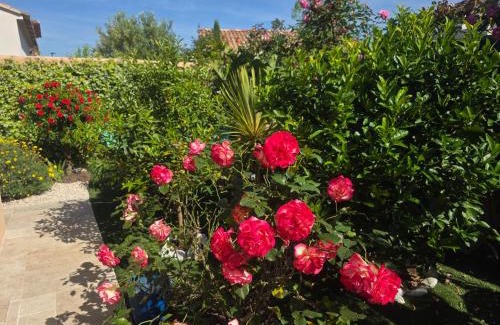 La Londe-les-Maures Bed & Breakfast | Relaxing Stay at Villa Diane with Oceanfront Views