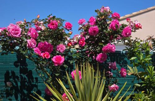 La Londe-les-Maures Bed & Breakfast | Relaxing Stay at Villa Diane with Oceanfront Views