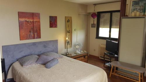 Ajaccio Bed & Breakfast | Charming Bed and Breakfasts in Ajaccio with Ocean Views