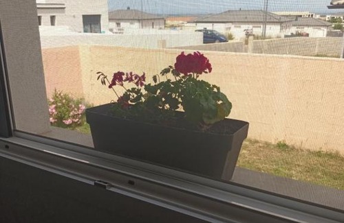 Borgo House | Inviting Chambre d'Hôte Lucciana-Borgo with Pool & Breakfast