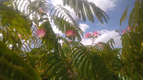 Thurageau Bed & Breakfast | Oceanfront Escape at Au Chant des Vents with Pool Access