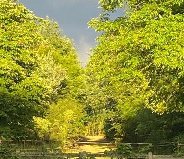 Rogny-les-Sept-Ecluses House | Family-Friendly Retreat at La Boursicauderie Awaits You