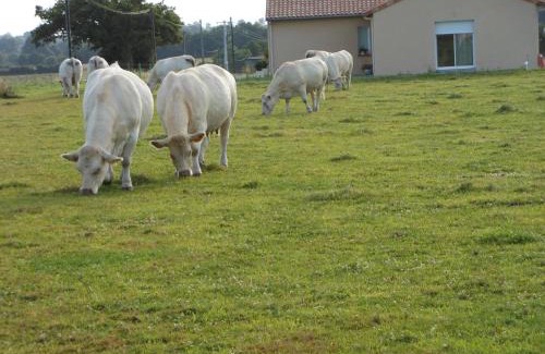 Neuvy-en-Mauges Bed & Breakfast | Discover Chambre D'hôtes La Basse Gougeonnière: 8.9/10 Rated
