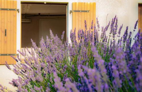 Puechoursi Bed & Breakfast | Discover Chambre d'hôtes Lempery: Oceanfront Bliss Awaits