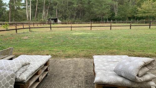 Durtal Bed & Breakfast | Chambre d'Hotes au Haras des Fenucy