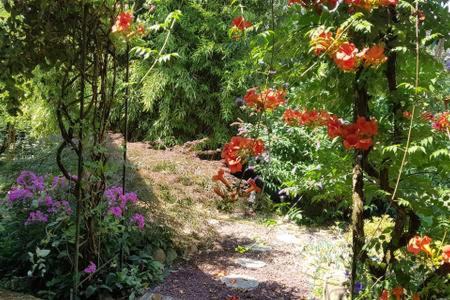 Eteimbes Bed & Breakfast | Cozy Room in Renovated Farmhouse with Restaurant & Kitchen