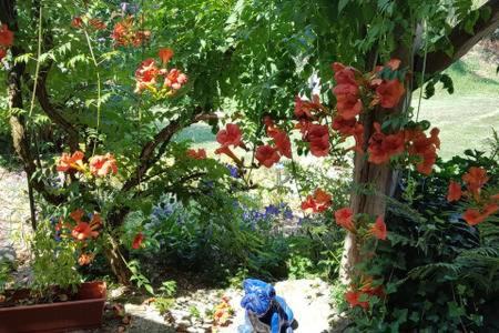 Eteimbes Bed & Breakfast | Cozy Room in Renovated Farmhouse with Restaurant & Kitchen
