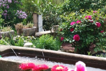 Eteimbes Bed & Breakfast | Cozy Room in Renovated Farmhouse with Restaurant & Kitchen