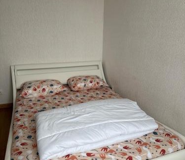 Fleury-les-Aubrais House | Chambre