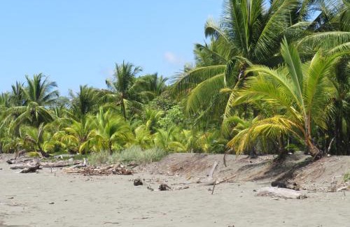 Parrita Apartment | Oceanfront Cabina de Vacances with Pool & Breakfast