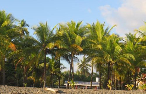 Parrita Apartment | Oceanfront Cabina de Vacances with Pool & Breakfast