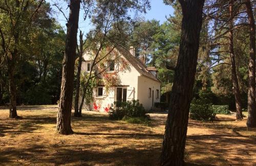Noisy-sur-Ecole Bed & Breakfast | Cozy Rooms in the Heart of Massif des Trois Pignons