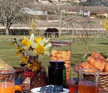 Castelnaud-la-Chapelle Bed & Breakfast | Chambres d'hôtes BELLE-VUE -Vue sur château