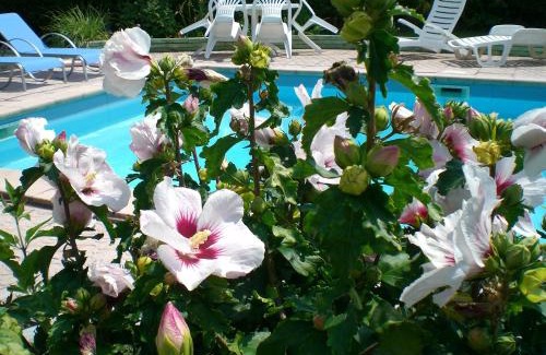 Malemort-sur-Correze House | Cozy Oceanfront Retreat at Chambres d'Hôtes Le Clos des Senteurs