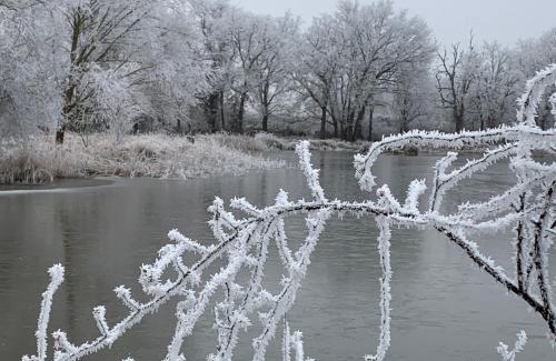 Rosnay Bed & Breakfast | Child-Friendly Retreat at Chambres d'Hôte IRIS - Rated 8.7/10