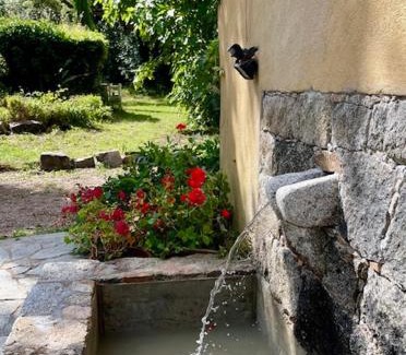 Porto-Vecchio Bed & Breakfast | Relaxing Escape at Chambres d'Hôtes Barraconu: 9.1/10