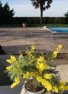 Loudun Bed & Breakfast | Experience Oceanfront Bliss at Chambres d'hôtes des Princes