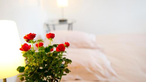 Buzeins Bed & Breakfast | Discover Entre Dolmens et Fontaines with Ocean Views