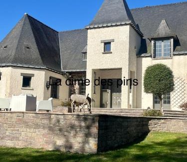 Chanteloup Bed & Breakfast | Family-Friendly Retreat at La Cime des Pins - Top Rated Stay