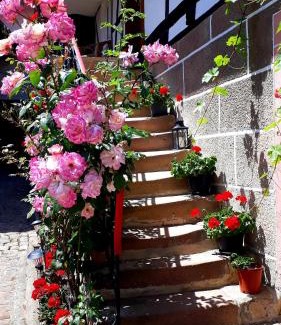 Rott Bed & Breakfast | Perfect Getaway at Chambres d'hôtes "La Petite Vallée"