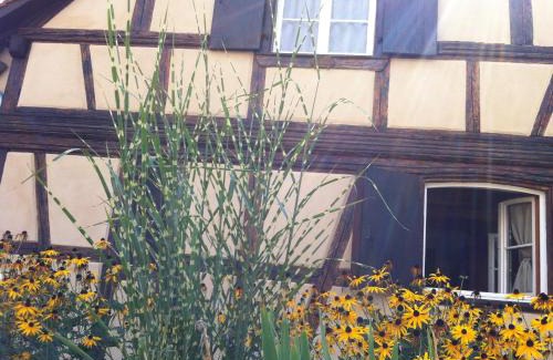 Illkirch-Graffenstaden Bed & Breakfast | Discover La Stoob: Top-Rated Strasbourg Sud Retreat