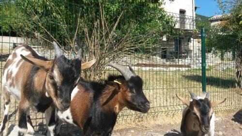 Entrevaux House | Pet-Friendly Oceanfront Retreat at La Maison de Julie