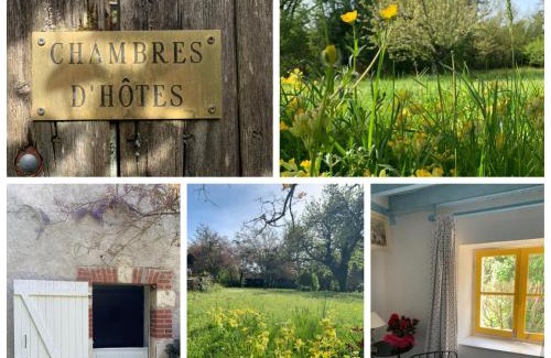 Molineuf Bed & Breakfast | Family-Friendly Stay at Chambres d'Hotes Les Renardieres