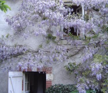 Molineuf Bed & Breakfast | Family-Friendly Stay at Chambres d'Hotes Les Renardieres